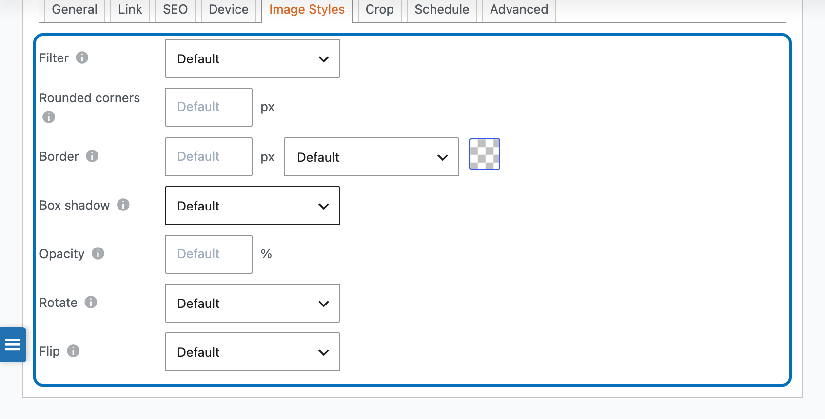 Image Styles tab fields on a slide