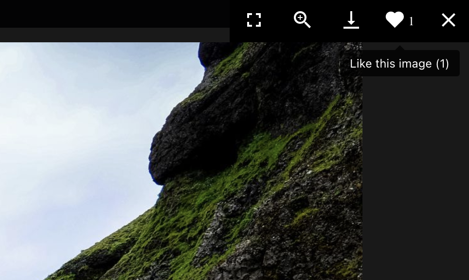 Image likes in MetaSlider Gallery
