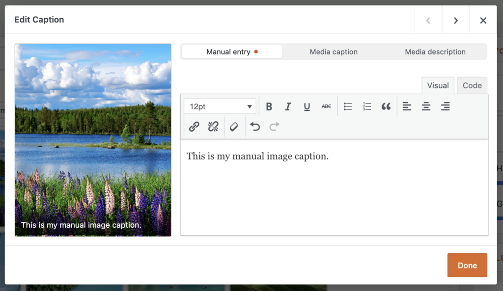 Caption source selector: