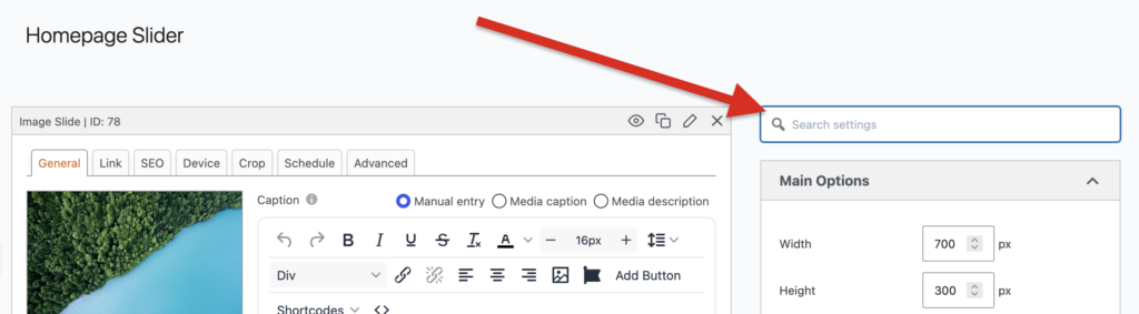 Searchable slideshow options
