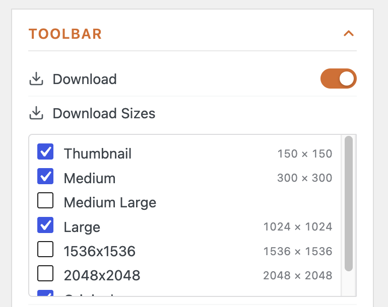Selectable image download sizes