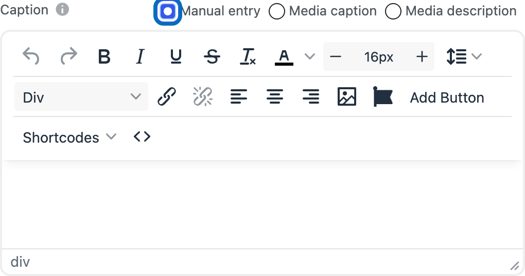 Manual entry selected as the caption source